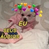 Figurinhas de amor 😍 6