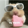 ay equis