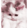Animales 28
