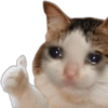 Animais 5