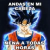 ❤️Shitposting de Amor❤️ 14