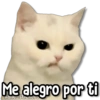 Me alegro por ti
Kalle