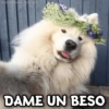 @Giseelove_Stickers
DAME UN BESO