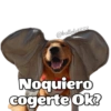 @ballolet888 Noquiero cogerte Ok?
