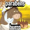 Melhores memes 14