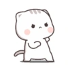 Cat-chan😼 6