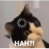 HAH?!