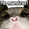 Me muestras?
kane_stickers
E