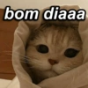 Reações irônicas  10