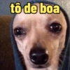 tô de boa