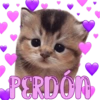 PERDÓN