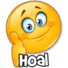Hoal
kane stickers