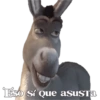 Eso sí que asusta
