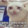 GeysiOy
pero sabes lo que
más me *#@#(@# we