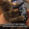 O
Buscando el mejor ángulo
pa mandárselo a mi amorcit@