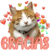 GRACIAS