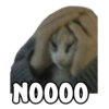 NOOOO