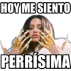 HOY ME SIENTO
PERRÍSIMA