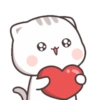 Cat-chan😼 27