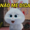 NÃO ME DIGA