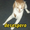 desespero