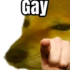 Gay