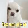faz um pix aí