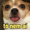to nem ai