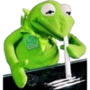 Frog 24