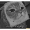 (Sad Music playing)
funny.co