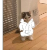 QUE