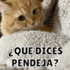Michis Para ti pt.4🐱❤️ 6
