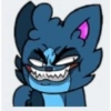 Sebas pro gatito 2020 12