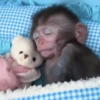 🙈 MONITO MOODS 2 🙉 16