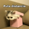 Puta distancia @Harley Stickers