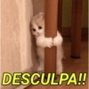 Reações para você ❤️ 10