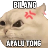 BILANG
APALU TONG