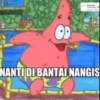 Petrik 8