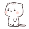 Cat-chan😼 9