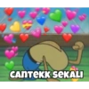 CANTEKK SEKALI
