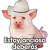 @rose.stickersl Estoy ancioso deberás