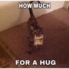 HOW MUCH
FOR A HUG