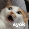 syok