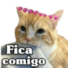 Fica comigo