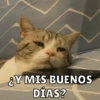 Michis Para Ti pt.5🐱❤️ 3