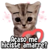 Acaso me
hiciste amarre?
ickers