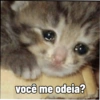 ANIMALzinhos 6