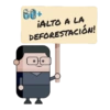60+ iALTO A LA DEFORESTACIÓN!