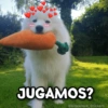 JUGAMOS?
@Giseelove Stickers