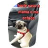 hazle caso a mamá o me enfado
